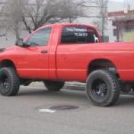 Rowdy_Red