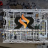 DRAelectrician